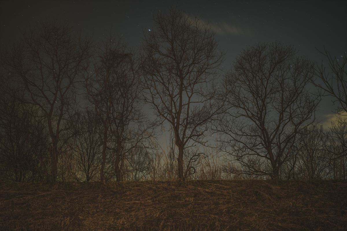 合同会社アドオンサイト ホームページ開設のお知らせ